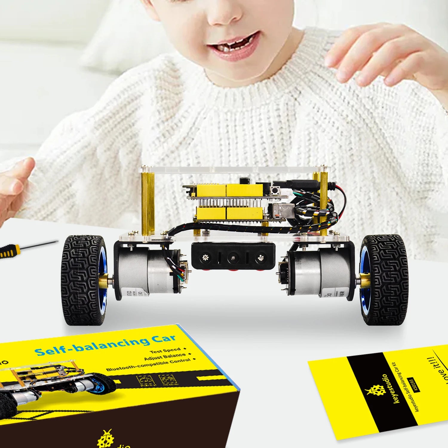 Self-Balancing Robot Car Kit